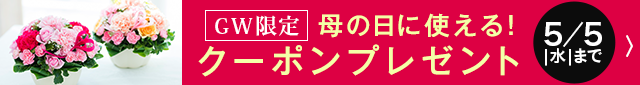 毎月届く お花の頒布会 プロのお花屋さんが厳選 フジテレビフラワーネット