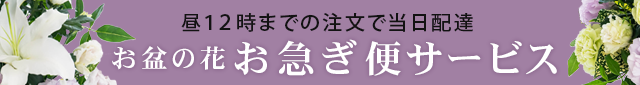 ~̂Ԃ̂Ȃ瑦zBu}փT[rXv