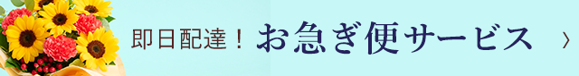 父の日お急ぎ便フラワーギフト