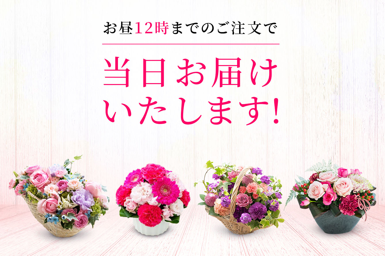 お急ぎ便サービス