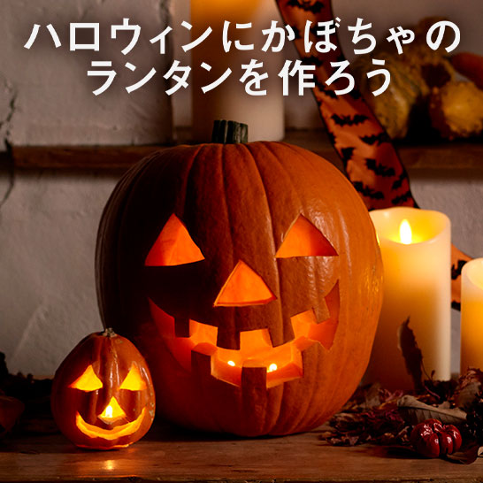 �n���E�B�������^��