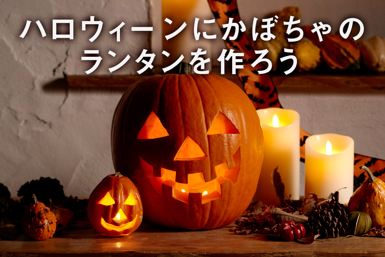 nEB[ڂ