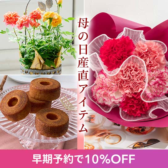 ��̓������\��