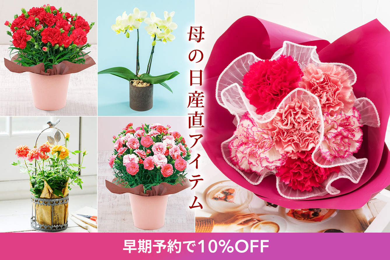 ��̓��Y��SALE