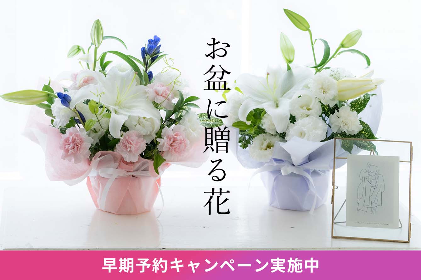 �V�~�E���~�E�������������