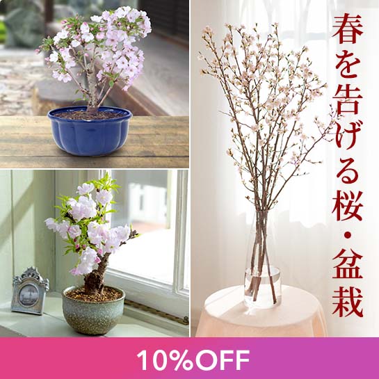 ���A�C�e��10��OFF