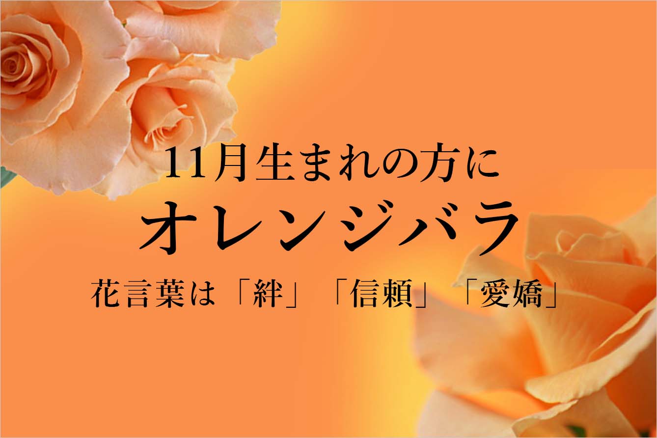 10̒aԃIWo