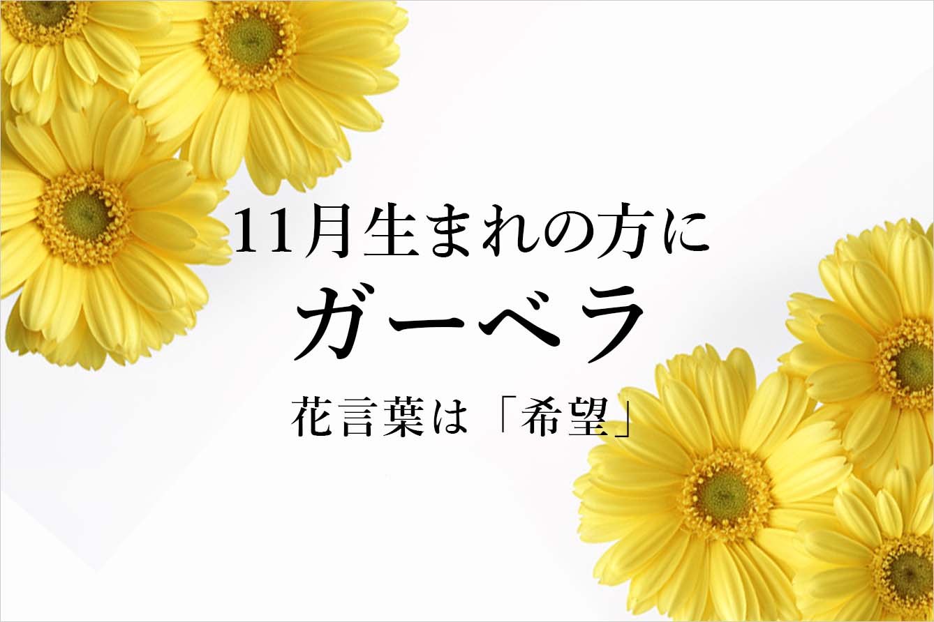 11̒aԃK[x