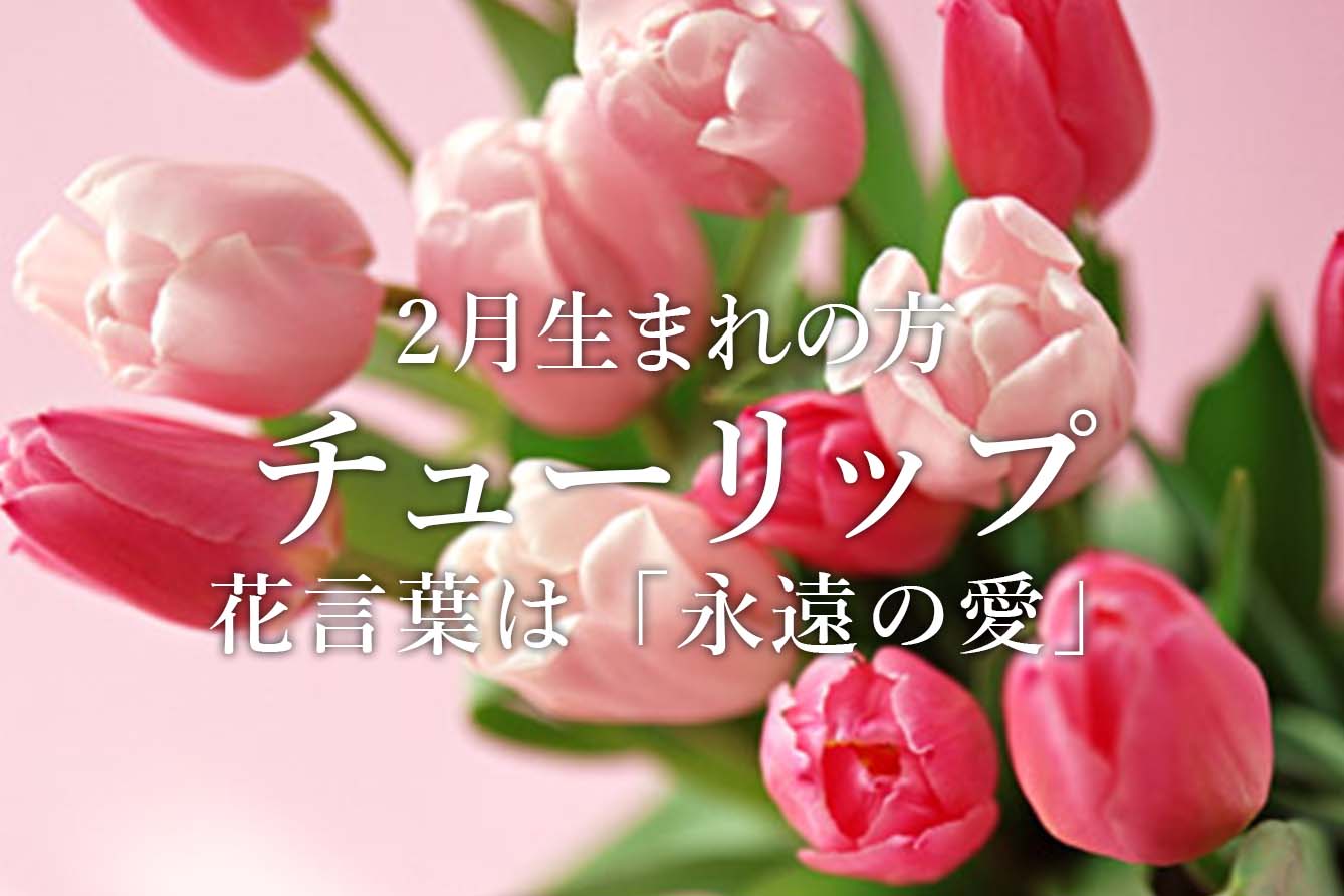 �a���ԃ`���[���b�v