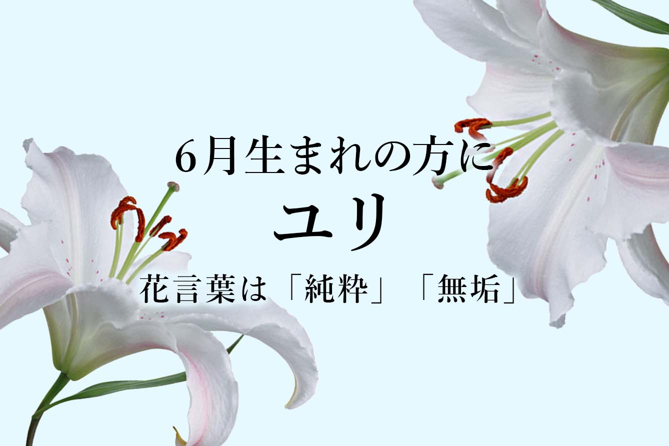 6月の誕生花ユリ