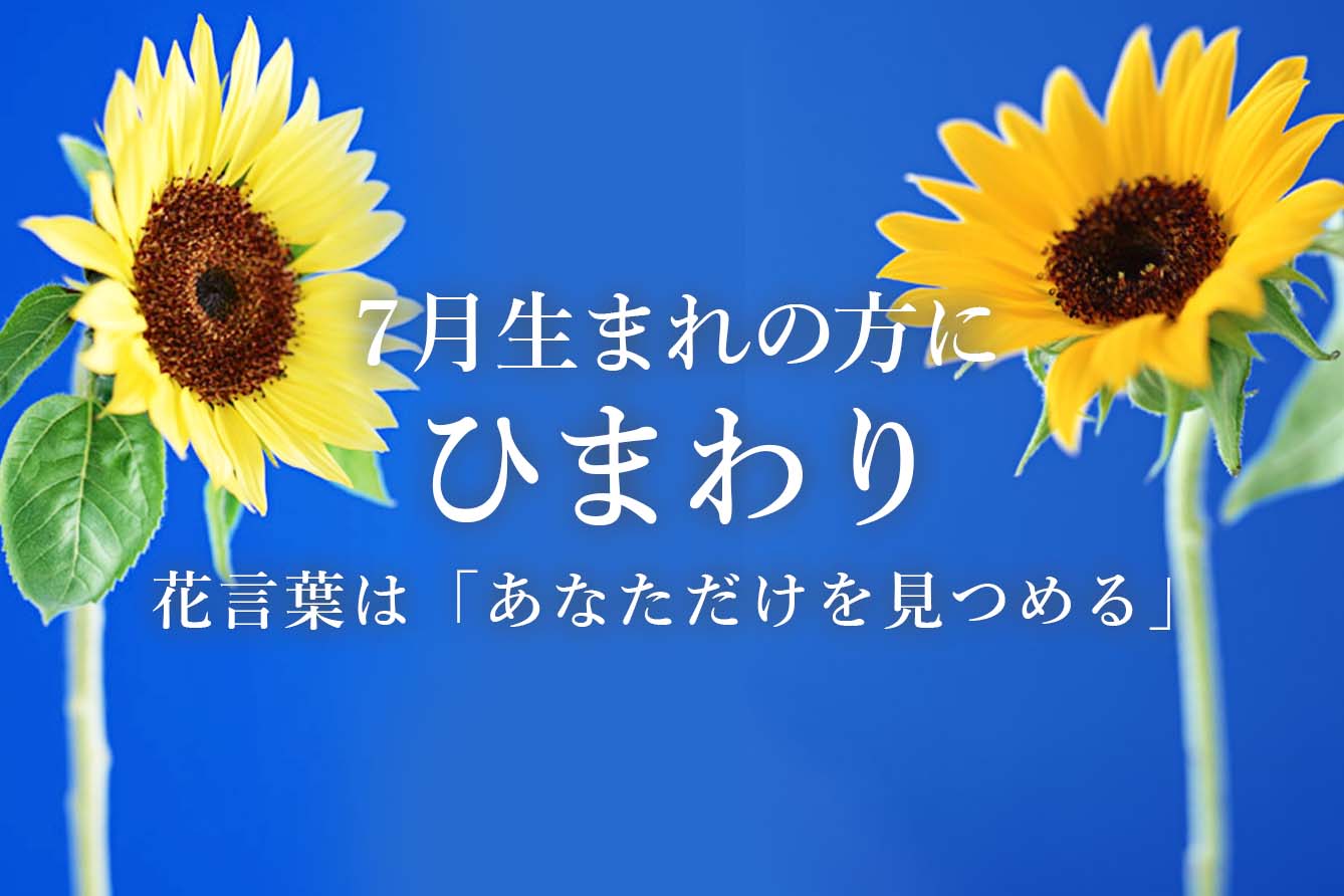 7月の誕生花ひまわり
