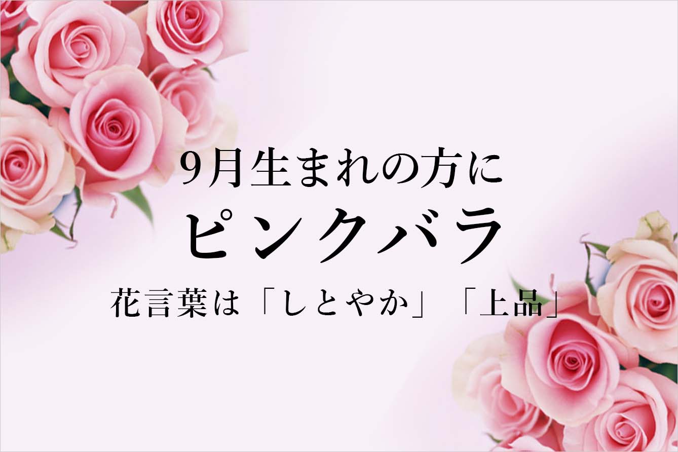 9̒aԃsNo