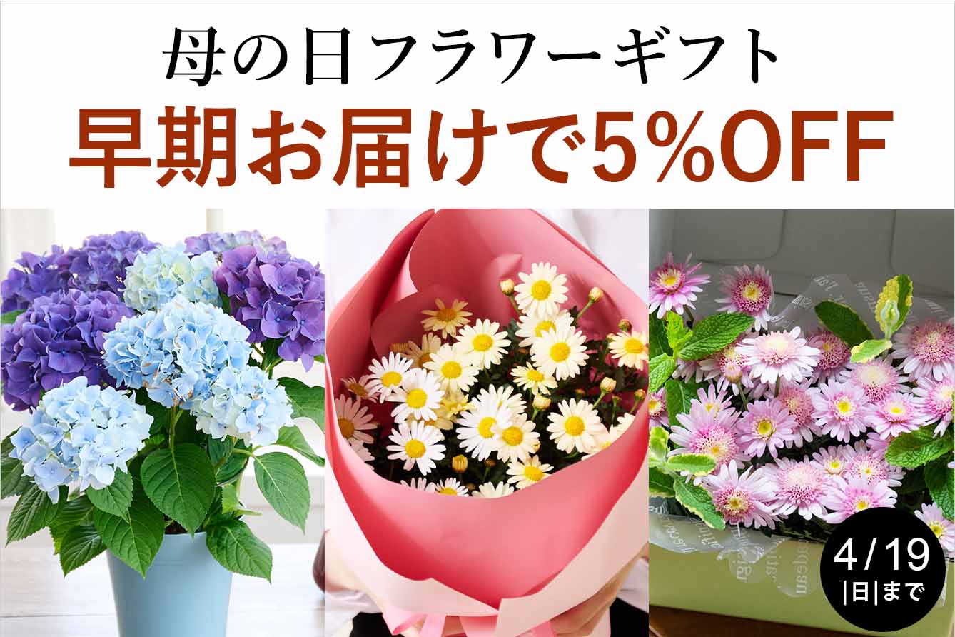 ��̓��������͂��L�����y�[��