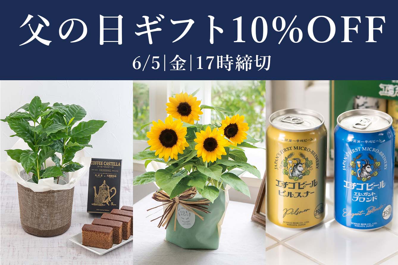 ���̓��Y�n����10���n�e�e