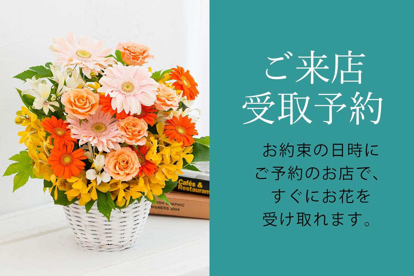 �����X���\��