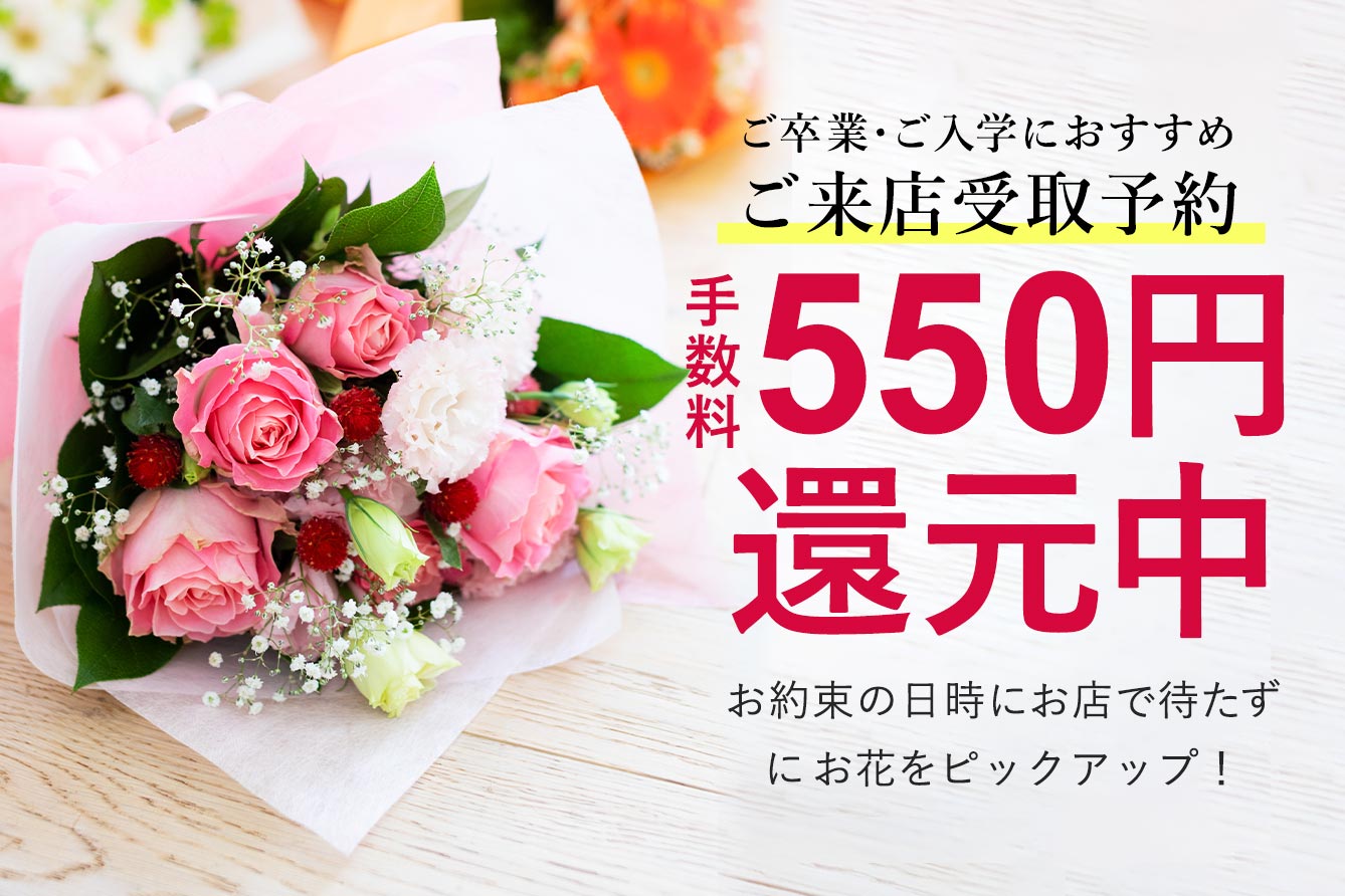 �����X���\��