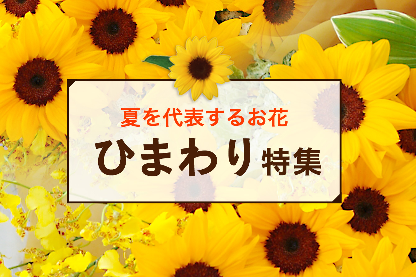 �Ђ܂��