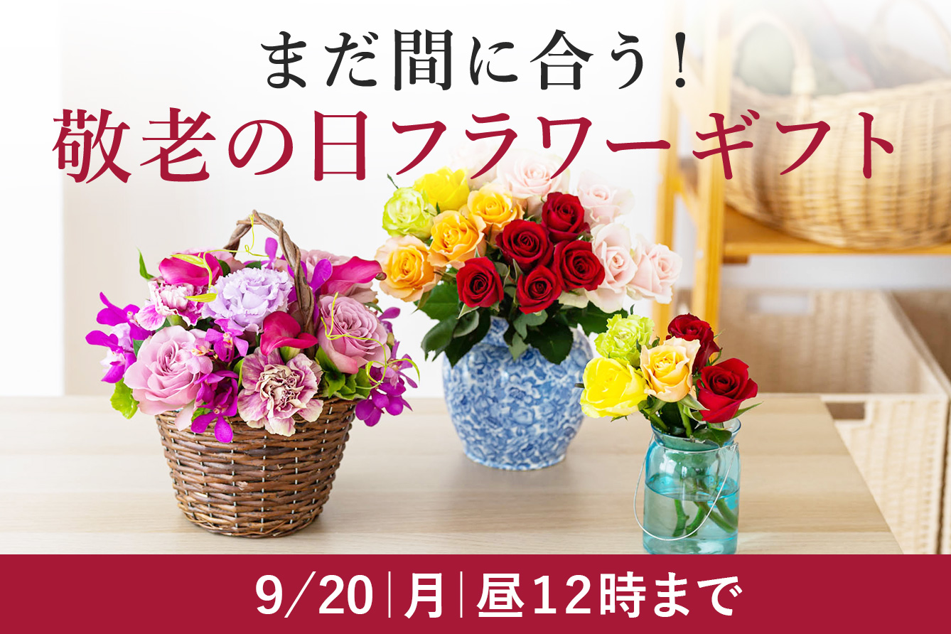 花の贈り物 プレゼント フラワーギフトの通販 フジテレビフラワーネット 花の贈り物 プレゼント フラワーギフトの通販 フジテレビフラワーネット