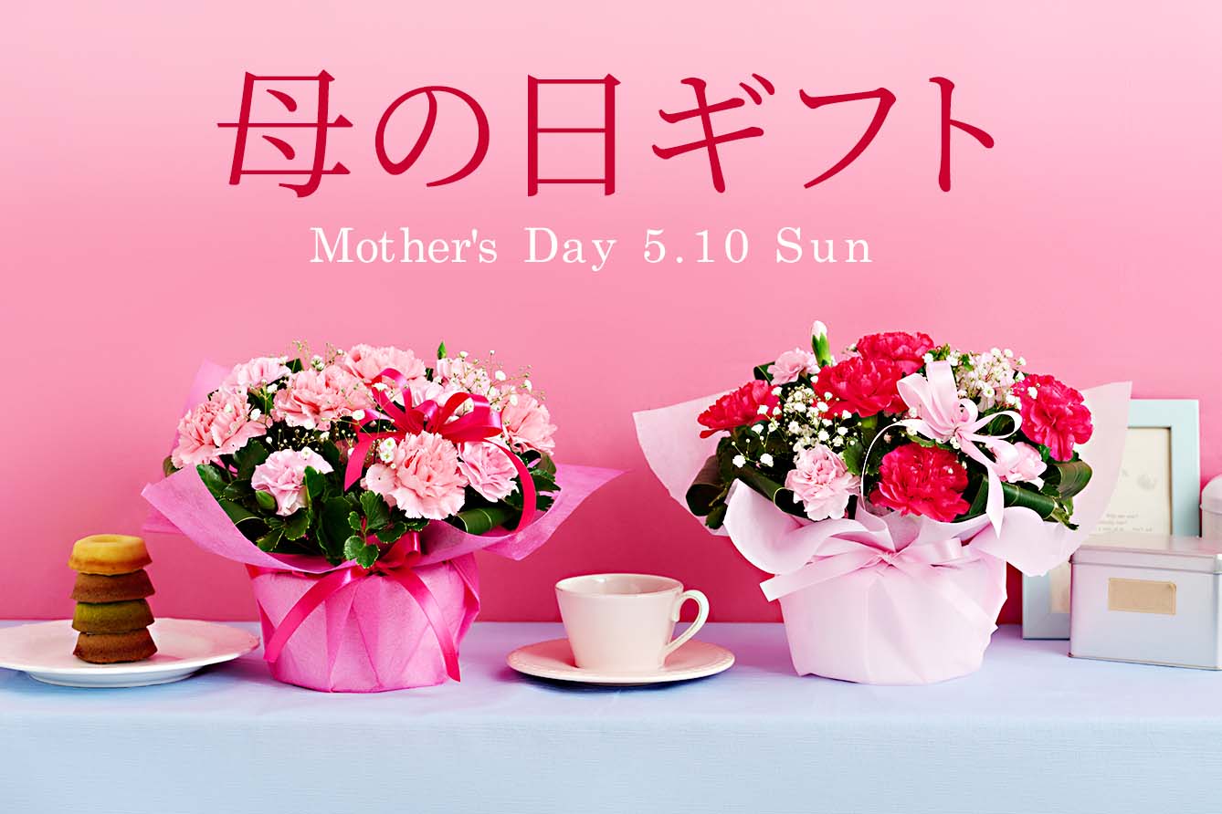 ��̓��t�����[�M�t�g���W