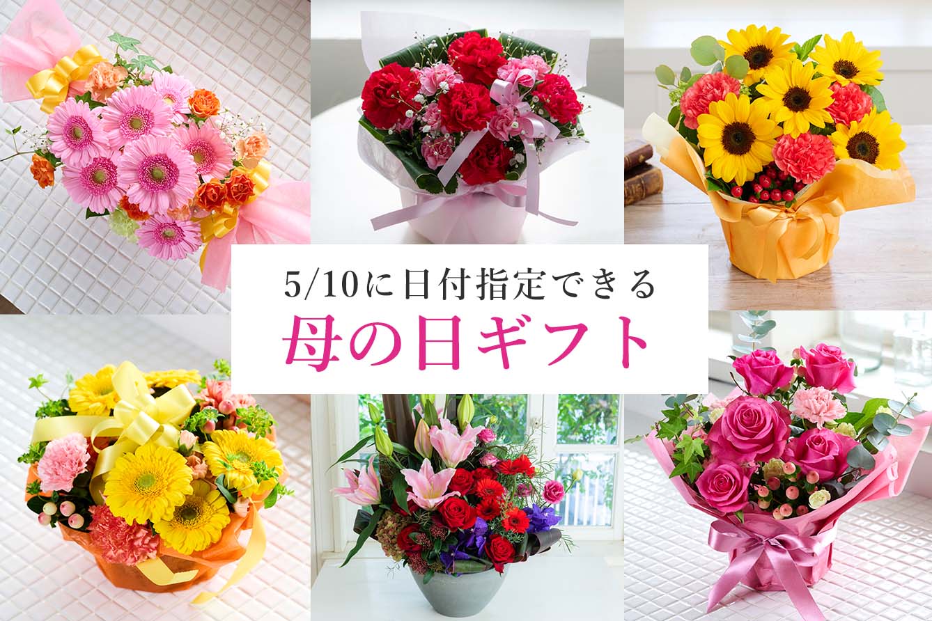 ��̓����t�w��ł���M�t�g