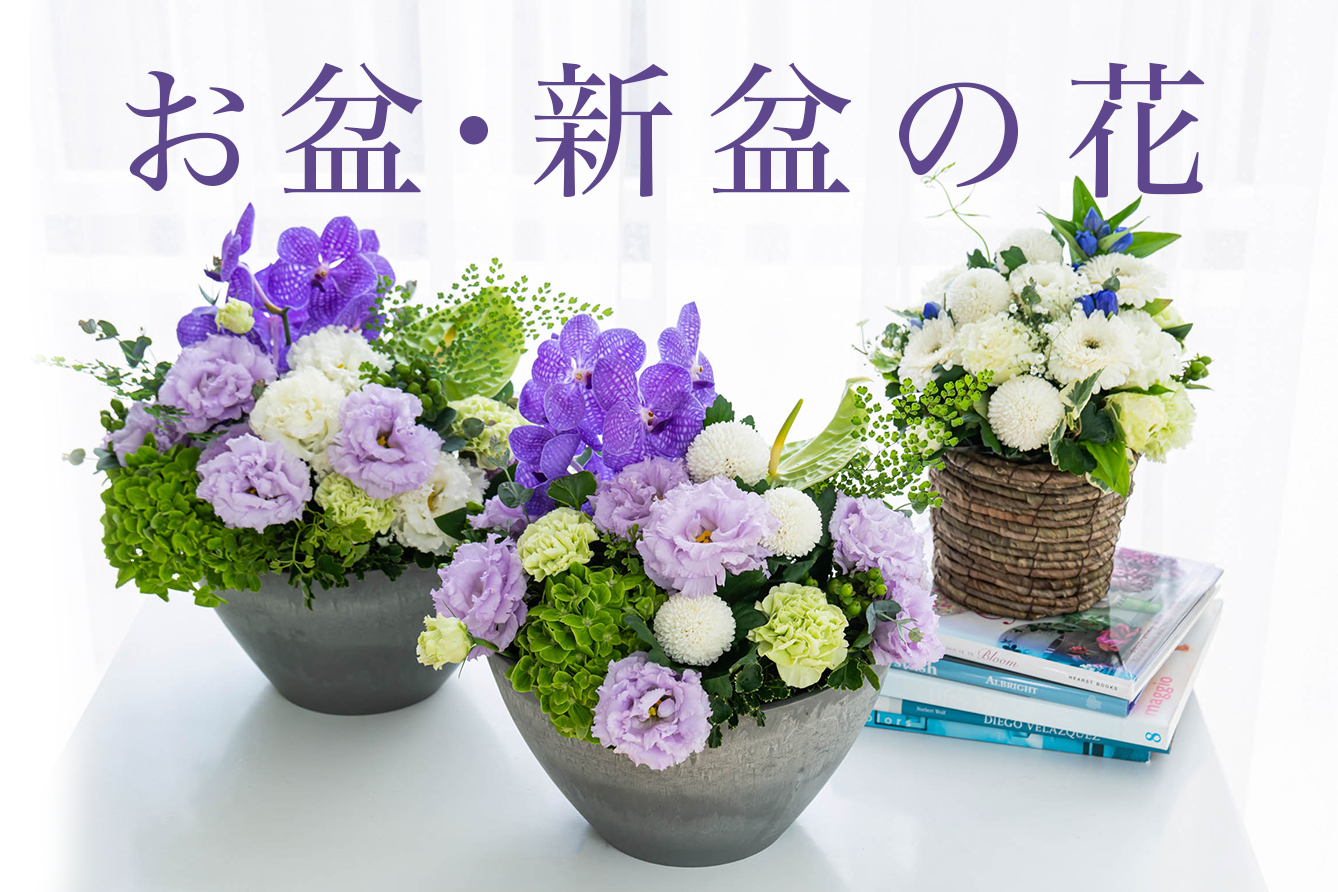 花の贈り物 プレゼント フラワーギフトの通販 フジテレビフラワーネット 花の贈り物 プレゼント フラワーギフトの通販 フジテレビフラワーネット