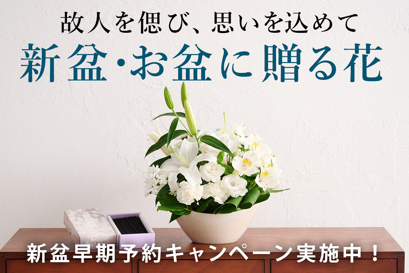 �V�~�E���~�E�������������