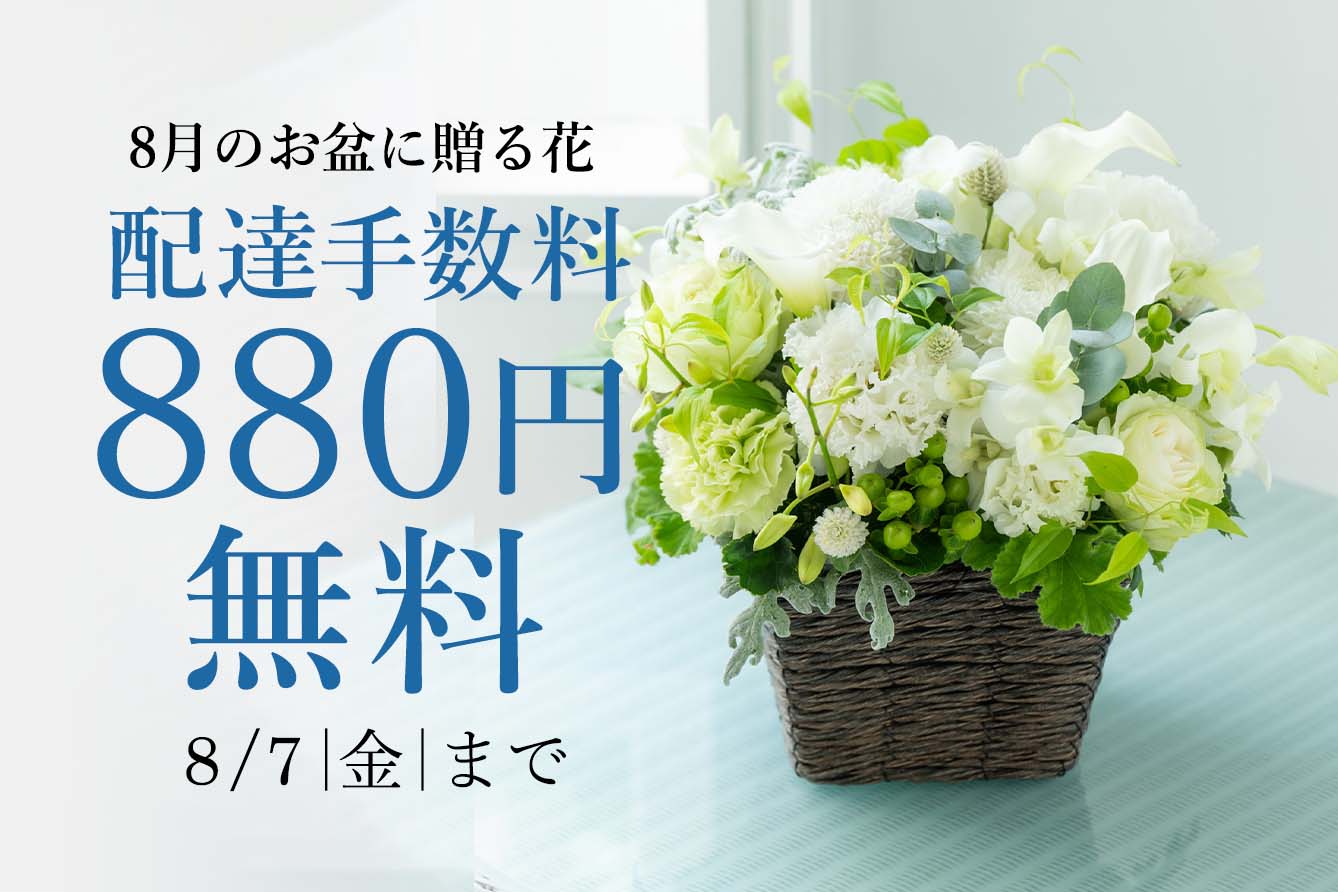 �V�~�E���~�E������������݉Ԕz�B�萔��880�~�Ҍ�