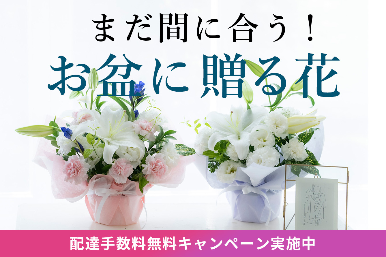 �܂��Ԃɍ����I�V�~�E���~�E�������������