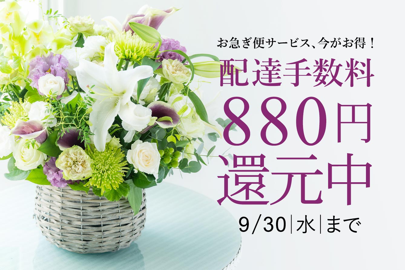 花の贈り物 プレゼント フラワーギフトの通販 フジテレビフラワーネット