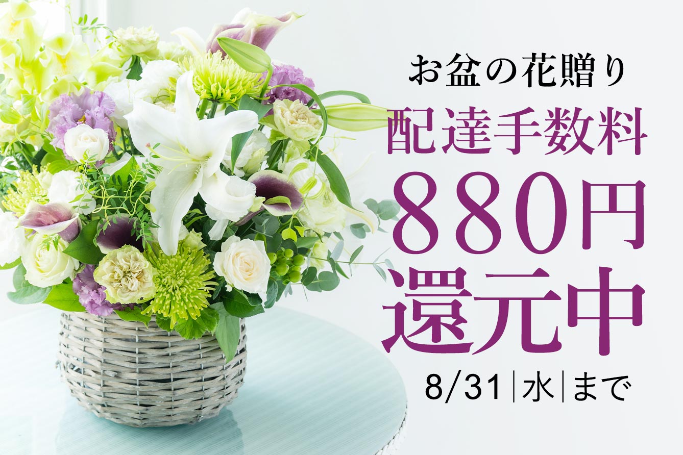 花の贈り物 プレゼント フラワーギフトの通販 フジテレビフラワーネット