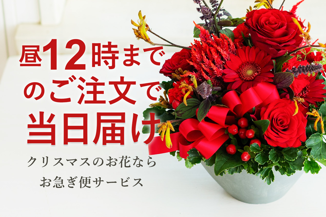 �u���}���ցv�N���X�}�X