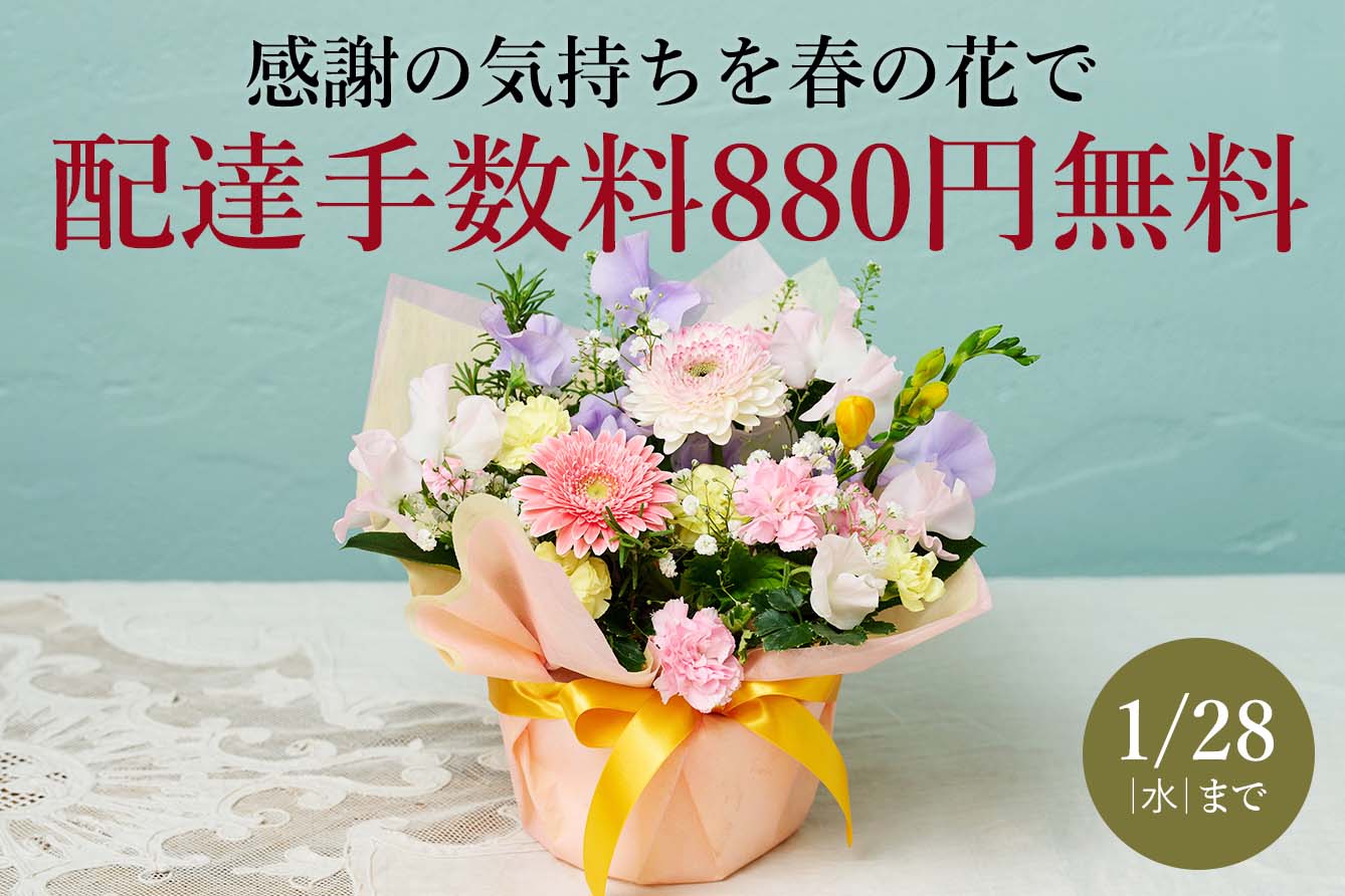 �t�̏j�����������L�����y�[��