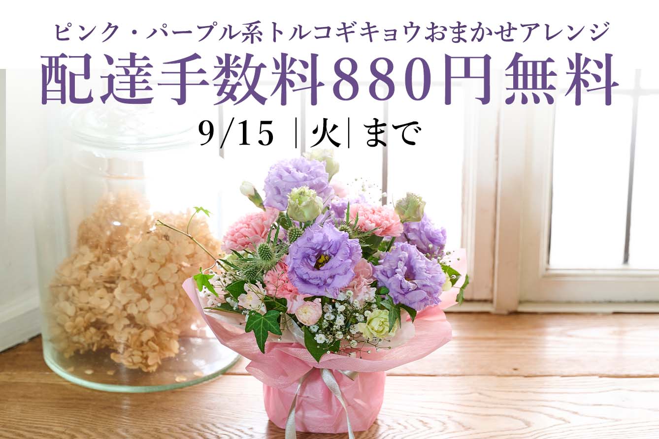 �s���N�p�[�v���n���g���R�M�L���E����ꂽ���܂����A�����W
