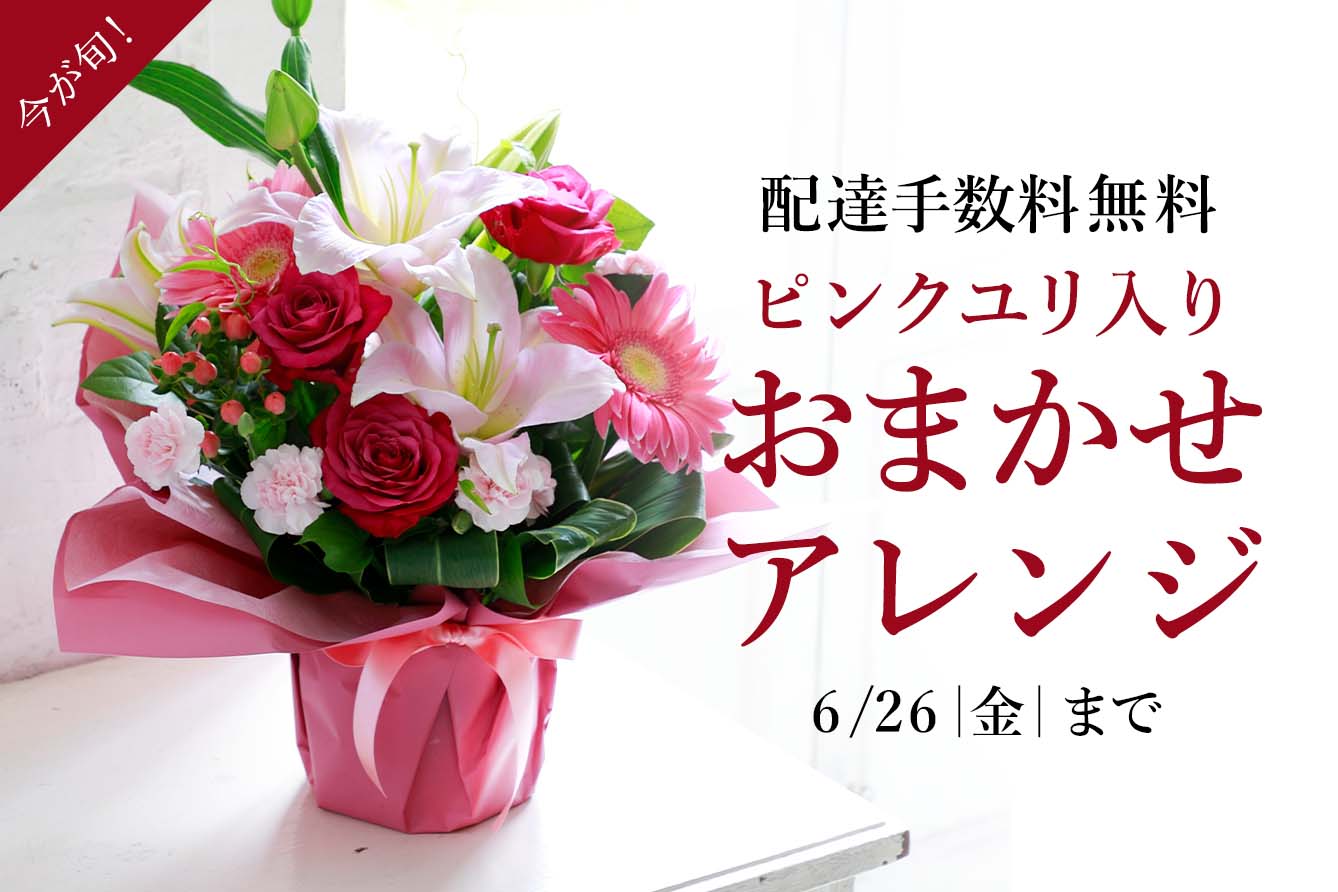 �s���N��������ꂽ�s���N�n���܂����A�����W