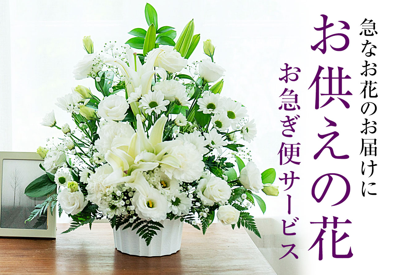 花の贈り物 プレゼント フラワーギフトの通販 フジテレビフラワーネット