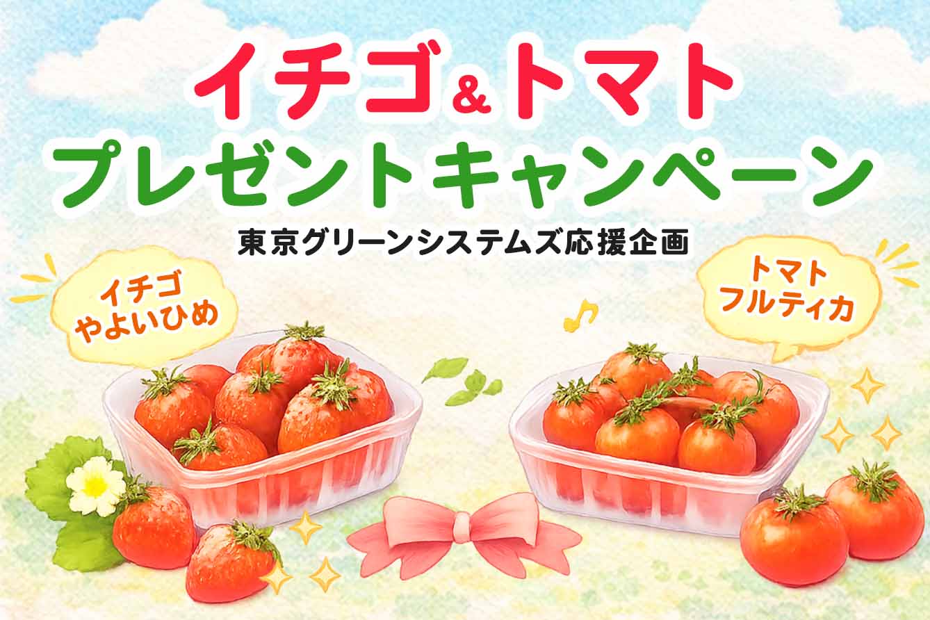 �����O���[���V�X�e���Y�g�}�g�v���[���g�L�����y�[��