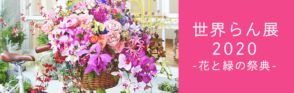 ���E���W���Ҍ��v���[���g