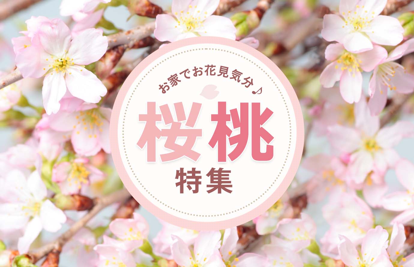 �������W