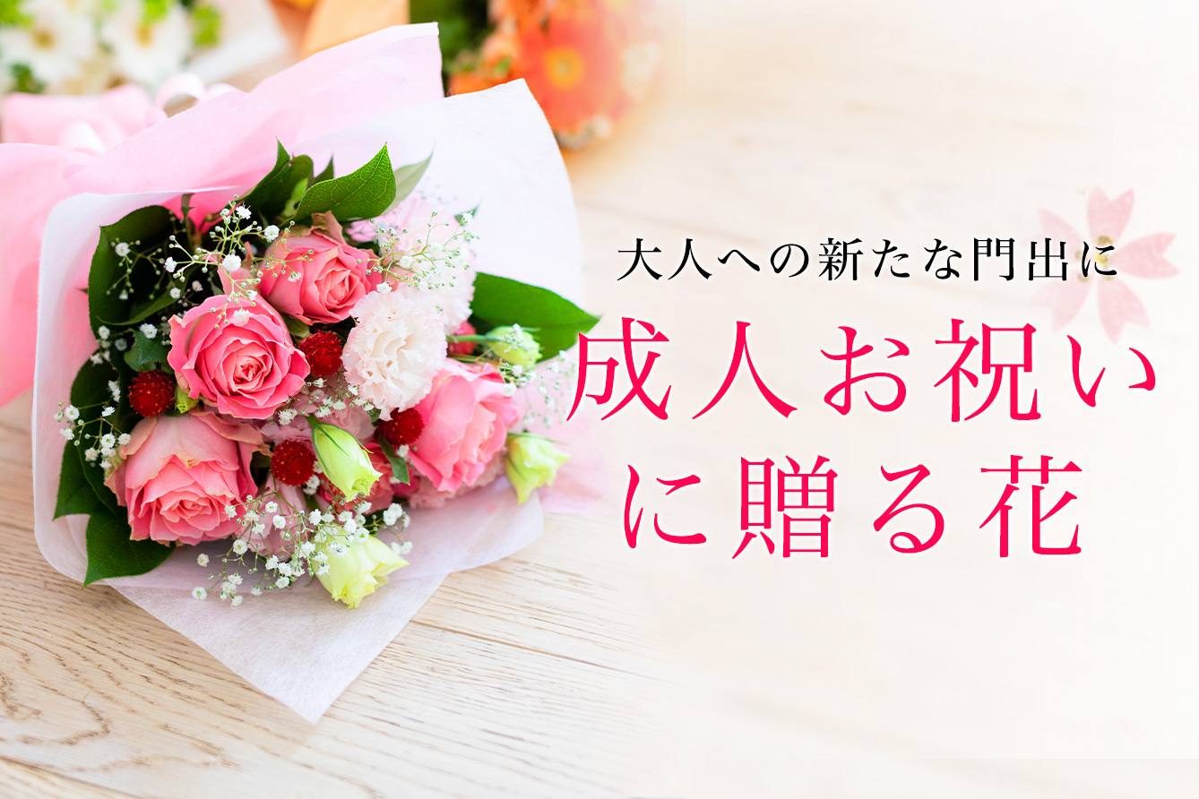 花の贈り物 プレゼント フラワーギフトの通販 フジテレビフラワーネット 花の贈り物 プレゼント フラワーギフトの通販 フジテレビフラワーネット