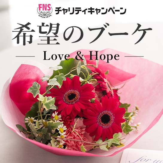 FNS`eBLy[u]̃u[Pv