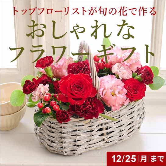 t[Xgaɑ