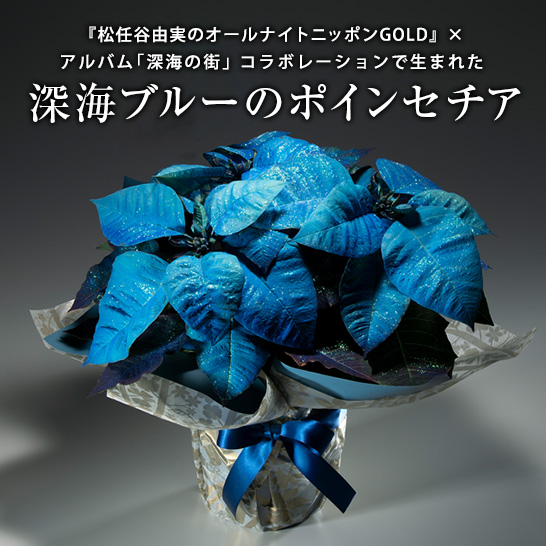 松任谷由実のオールナイトニッポンGOLD×アルバム「深海の街」コラボ企画 深海のブルーポインセチア