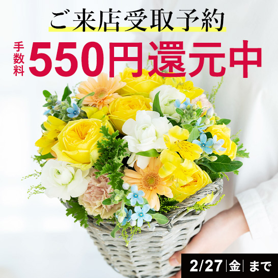 �����X���\��T�[�r�X���萔���Ҍ���