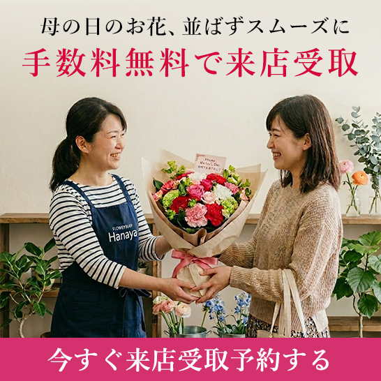 �����X���\��L�����y�[��