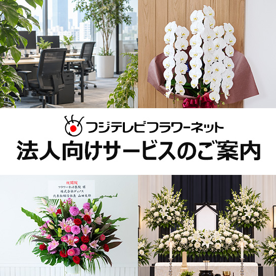 �t�W�e���r�t�����[�l�b�g�̖@�l�T�[�r�X