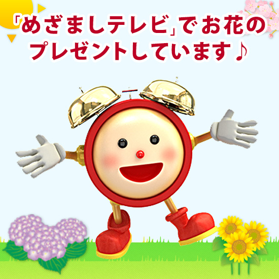 �t�W�e���r�u�߂��܂��e���r�v�ł��Љ������