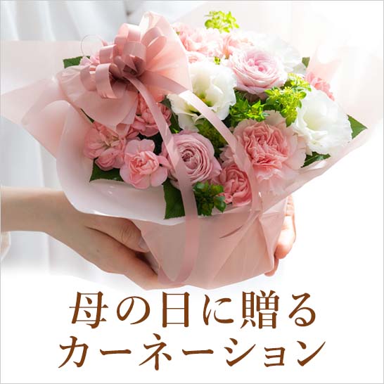 母の日カーネーション特集