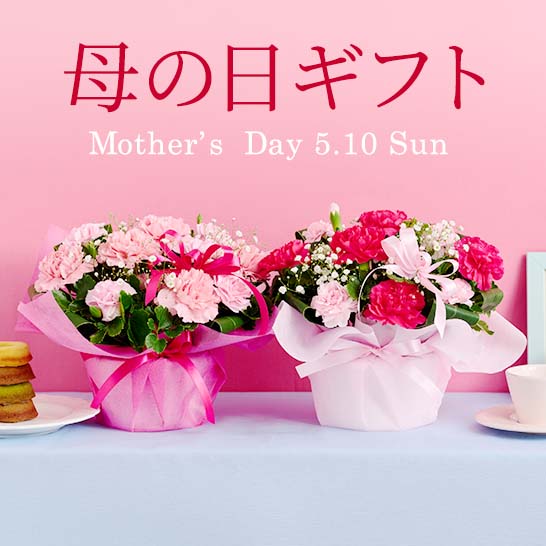 2026�N��̓��t�����[�M�t�g