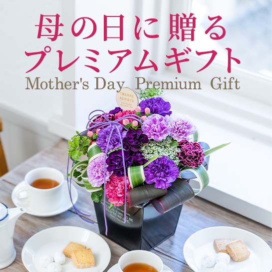 ��̓��v���~�A���M�t�g