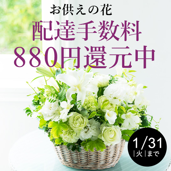 花の贈り物 プレゼント フラワーギフトの通販 フジテレビフラワーネット